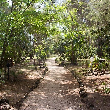 Osalla Beach Garden Bungalow Orosei Extérieur photo